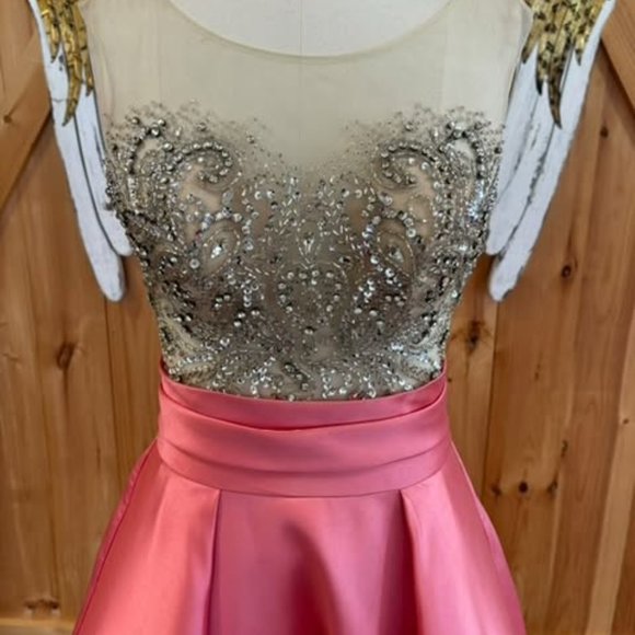 Long pink and mesh dress with long tail and rhinestones - Picture 5 of 6